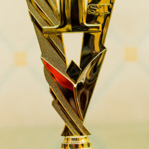 Diaspora Forus Award 2022- MicroFinance Company of the Year